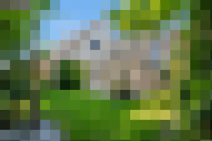 Rengersstrjitte 24 Ysbrechtum foto 2