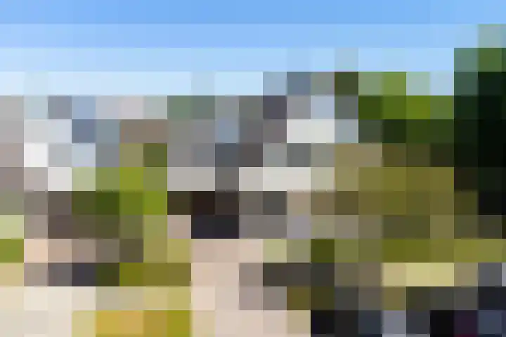 Rengersstrjitte 24 Ysbrechtum foto 3