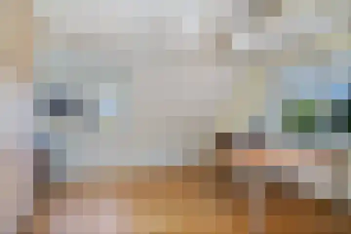 Rengersstrjitte 24 Ysbrechtum thumbnail 30