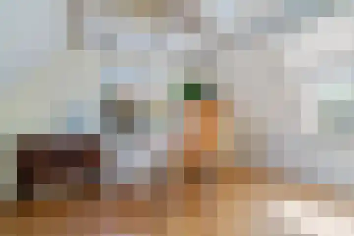 Rengersstrjitte 24 Ysbrechtum thumbnail 31