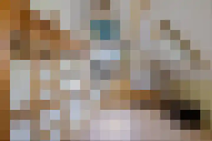 Rengersstrjitte 24 Ysbrechtum thumbnail 32