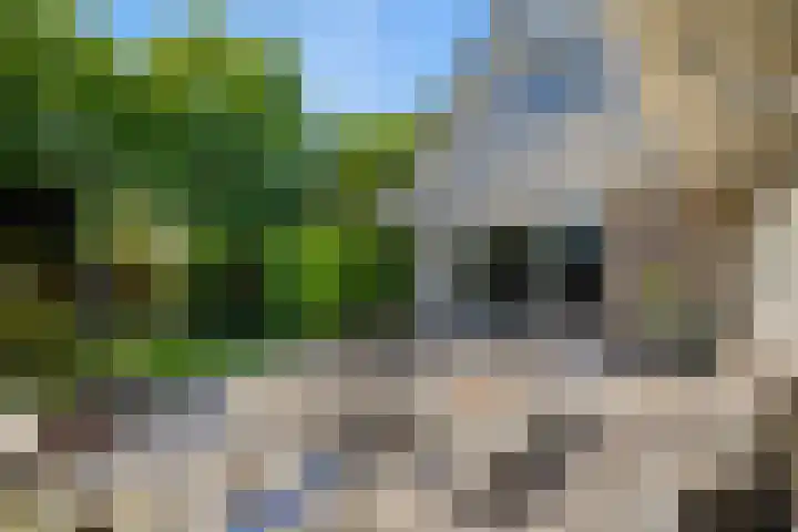 Rengersstrjitte 24 Ysbrechtum thumbnail 36