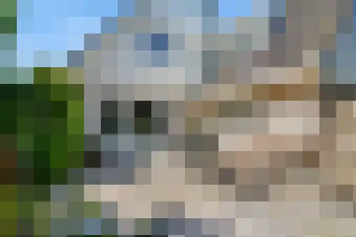 Rengersstrjitte 24 Ysbrechtum thumbnail 37