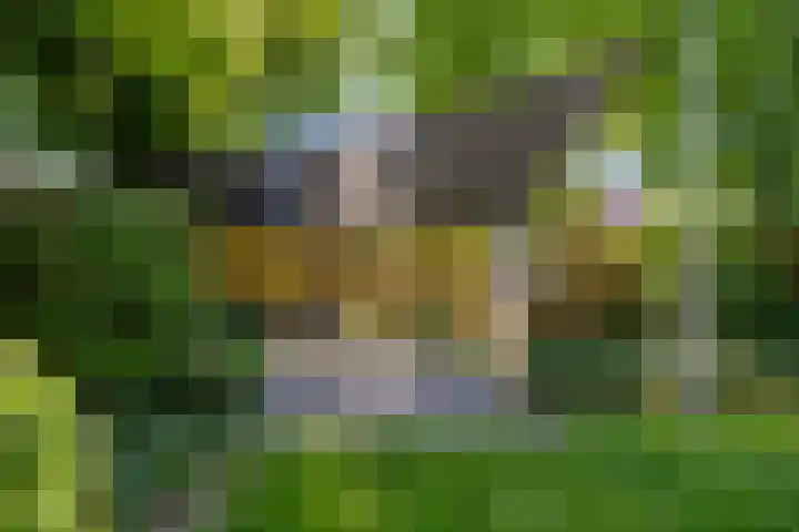 Rengersstrjitte 24 Ysbrechtum thumbnail 39