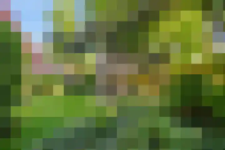 Rengersstrjitte 24 Ysbrechtum thumbnail 40