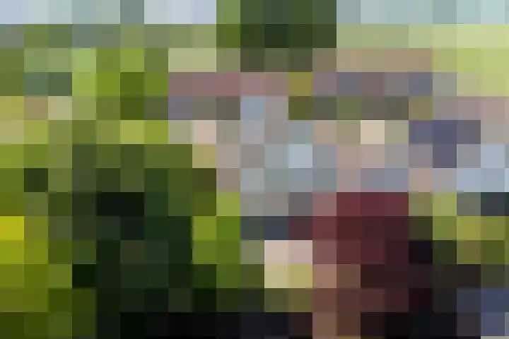 Rengersstrjitte 24 Ysbrechtum thumbnail 42