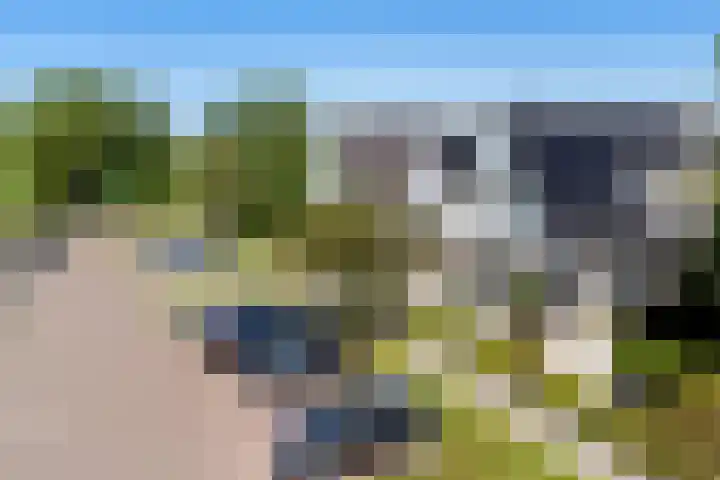 Rengersstrjitte 24 Ysbrechtum thumbnail 43