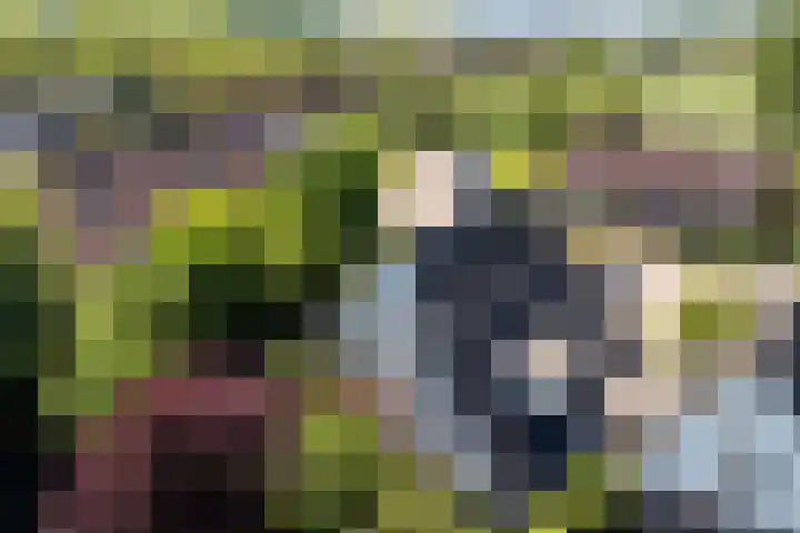 Rengersstrjitte 24 Ysbrechtum thumbnail 44