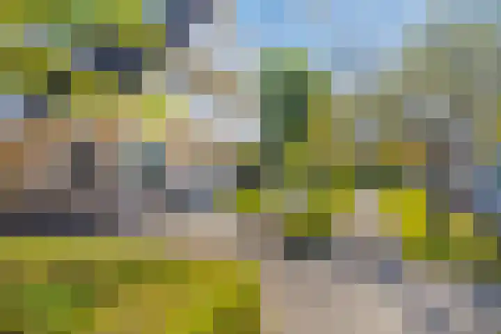 Rengersstrjitte 24 Ysbrechtum thumbnail 45