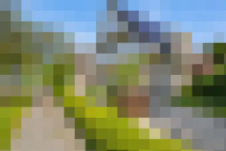 Rengersstrjitte 24 Ysbrechtum thumbnail 46