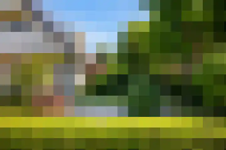 Rengersstrjitte 24 Ysbrechtum thumbnail 47