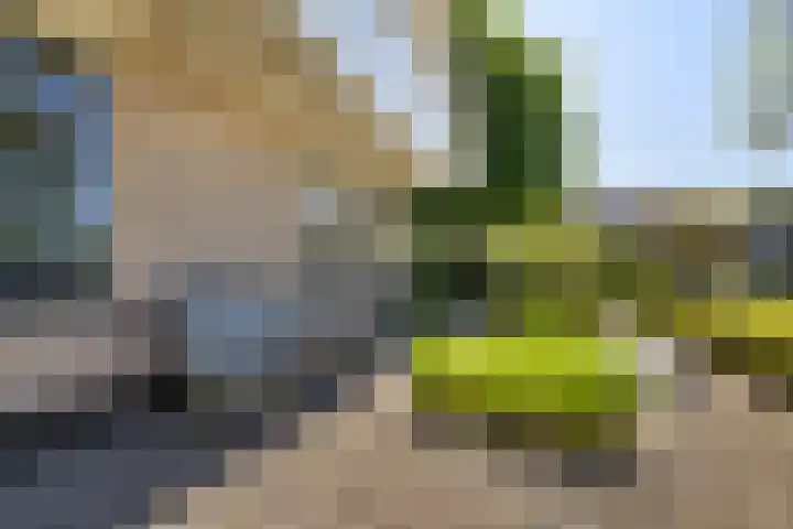 Rengersstrjitte 24 Ysbrechtum thumbnail 50