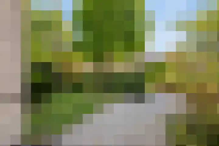 Rengersstrjitte 24 Ysbrechtum thumbnail 51