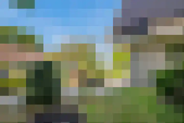 Rengersstrjitte 24 Ysbrechtum thumbnail 52
