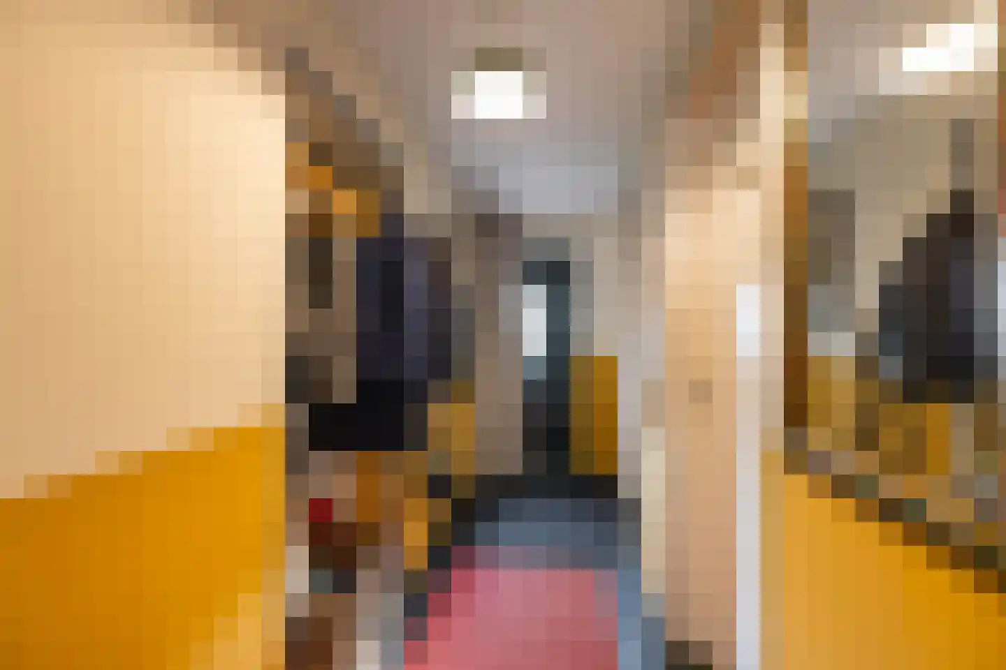Rengersweg 1 Godlinze thumbnail 19
