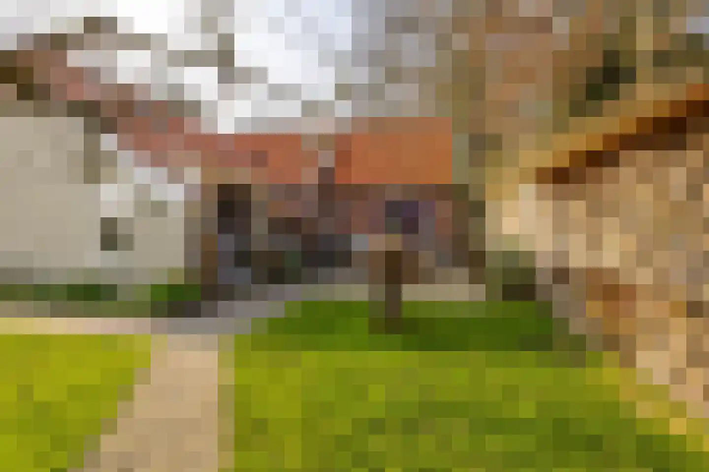 Rengersweg 1 Godlinze foto 3