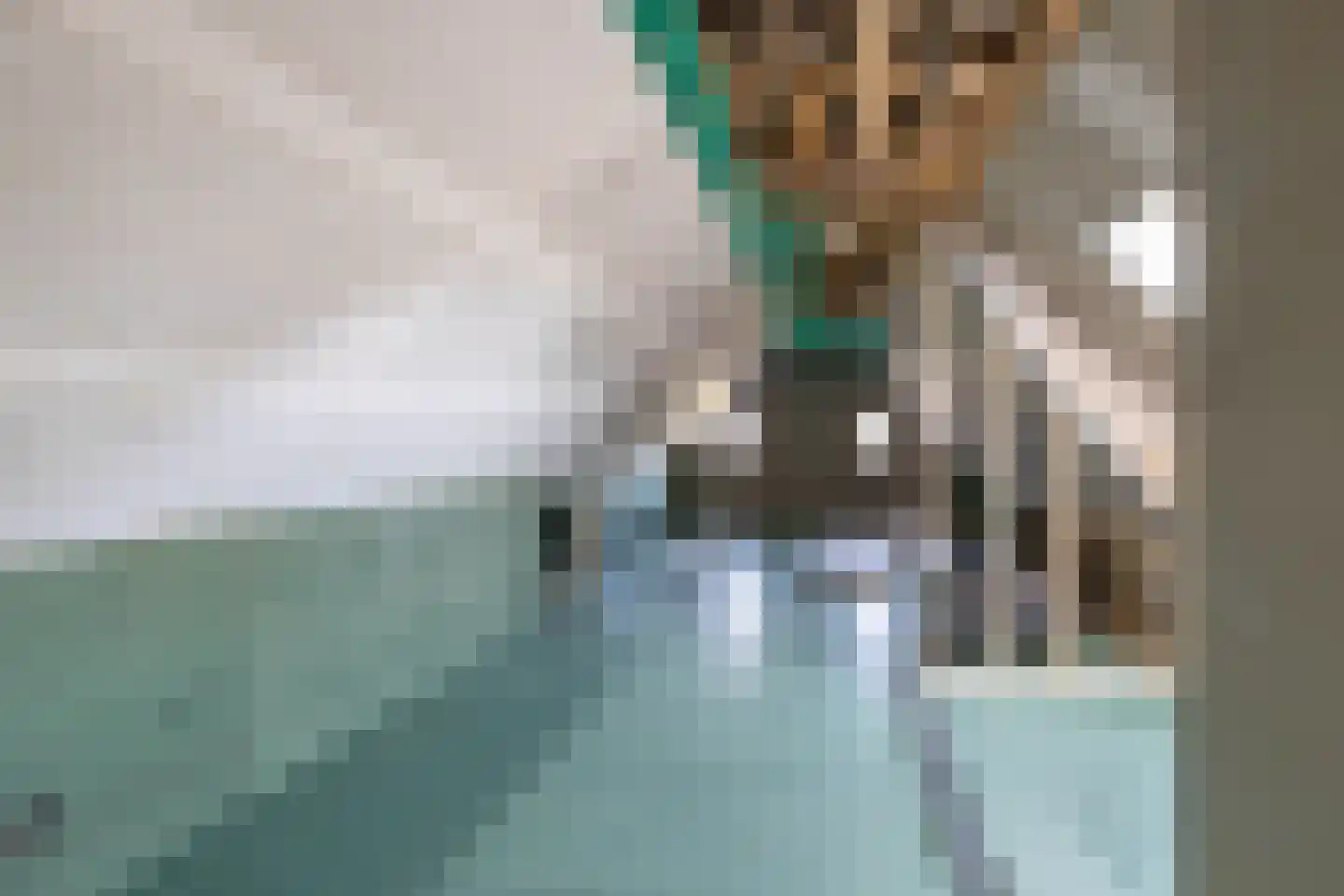 Rengersweg 1 Godlinze thumbnail 47