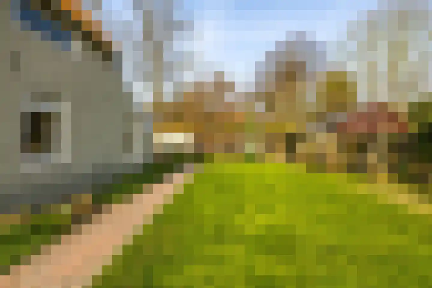 Rengersweg 1 Godlinze thumbnail 55