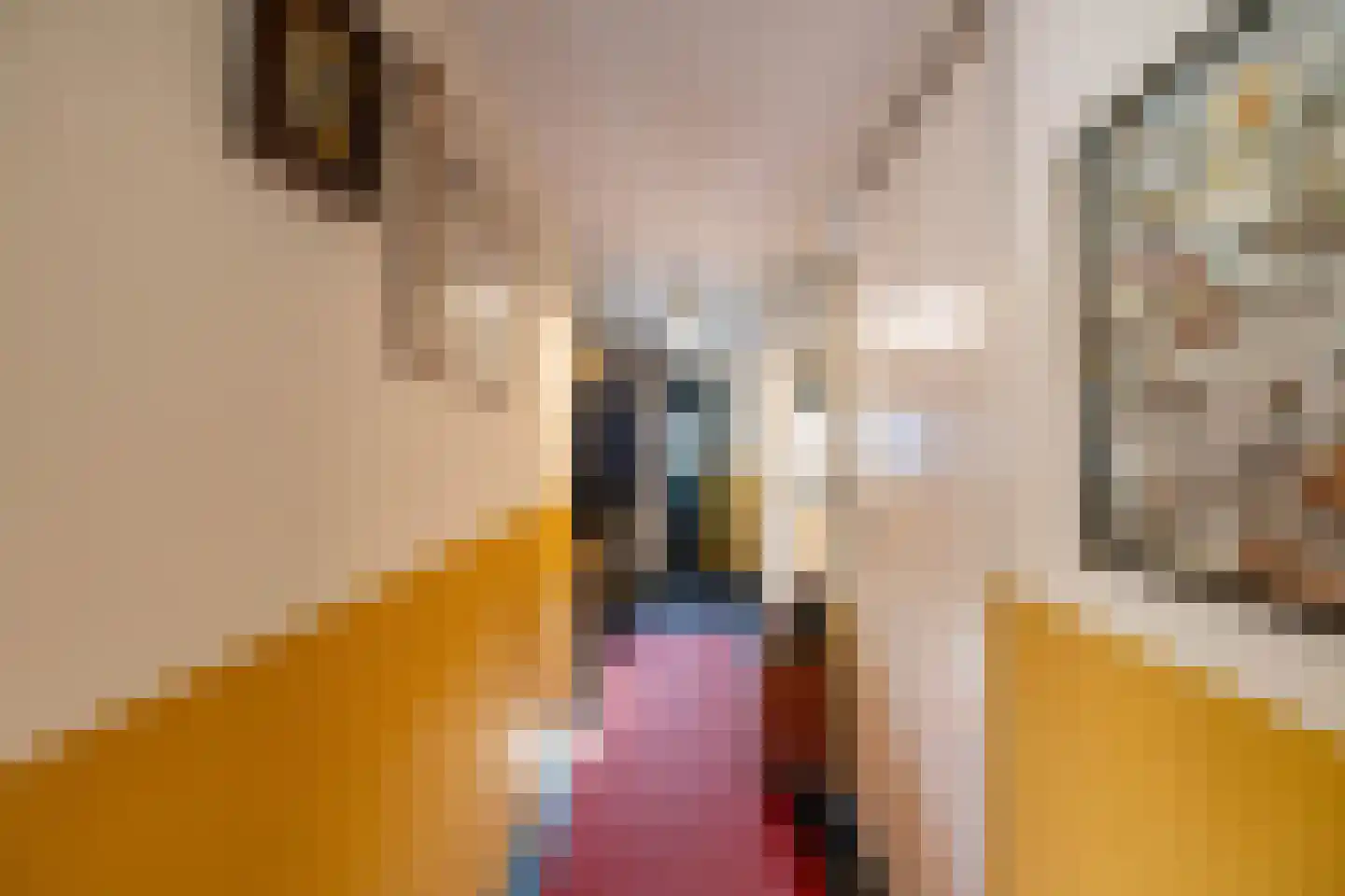 Rengersweg 1 Godlinze thumbnail 6