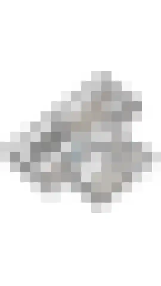 Rengersweg 1 Godlinze thumbnail 62