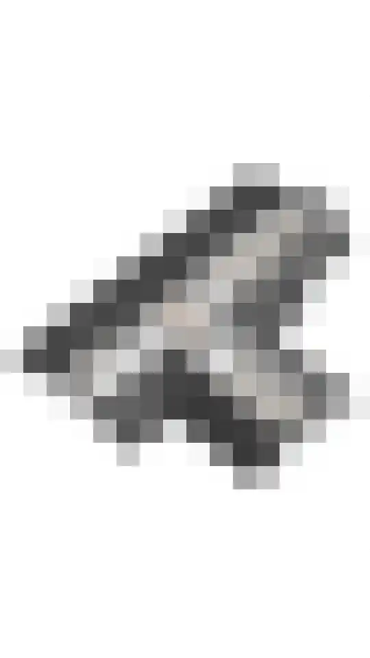 Rengersweg 1 Godlinze thumbnail 65