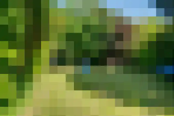 Rengersweg 13 Laren thumbnail 4