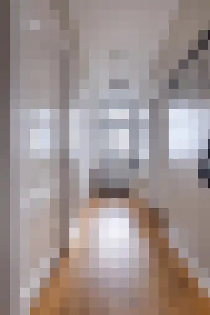 Rengersweg 23 Oentsjerk thumbnail 16