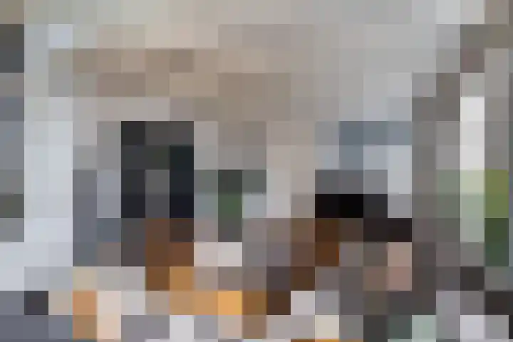 Rengersweg 23 Oentsjerk thumbnail 18