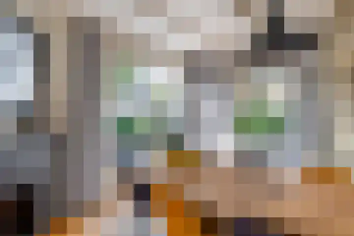 Rengersweg 23 Oentsjerk thumbnail 24