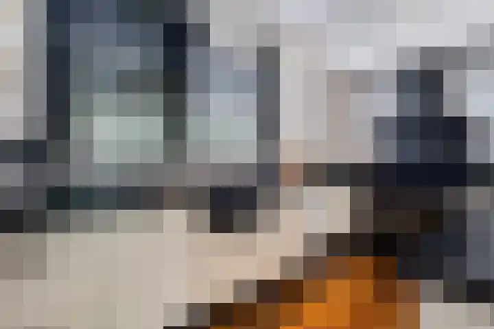 Rengersweg 23 Oentsjerk thumbnail 25