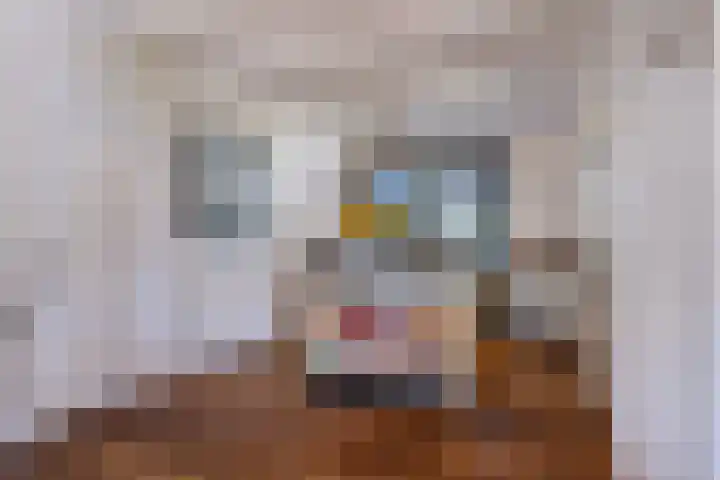 Rengersweg 23 Oentsjerk thumbnail 26