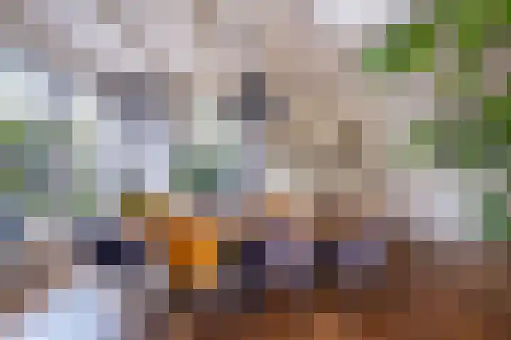 Rengersweg 23 Oentsjerk thumbnail 35