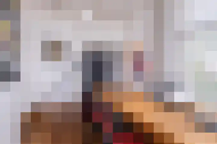 Rengersweg 23 Oentsjerk thumbnail 36