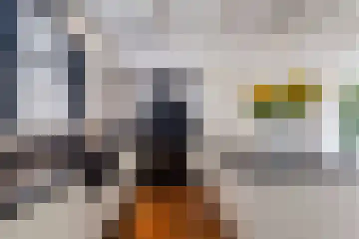 Rengersweg 23 Oentsjerk thumbnail 4