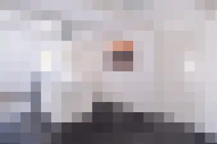 Rengersweg 23 Oentsjerk thumbnail 43