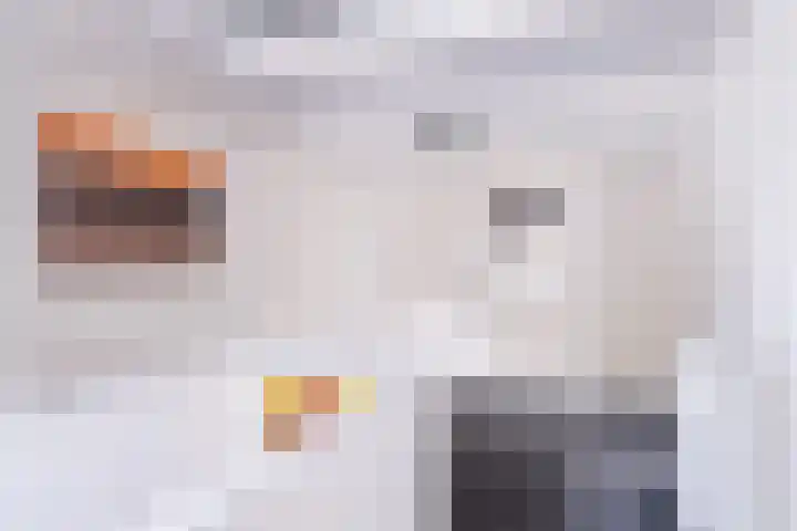 Rengersweg 23 Oentsjerk thumbnail 44