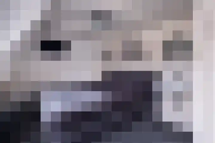 Rengersweg 23 Oentsjerk thumbnail 54