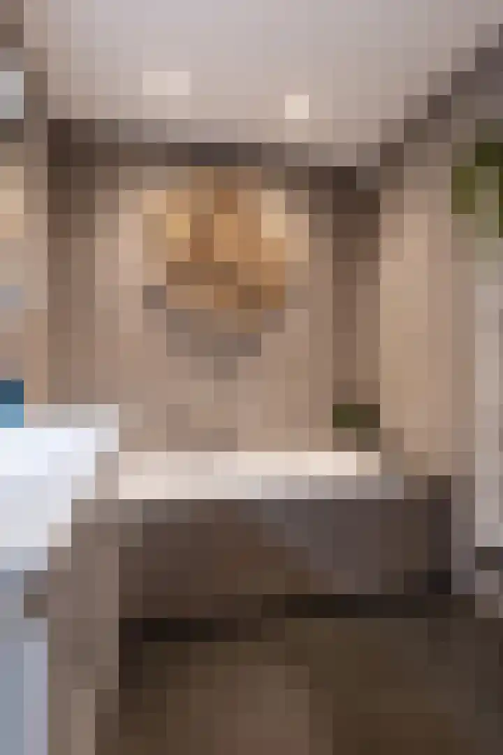 Rengersweg 23 Oentsjerk thumbnail 59