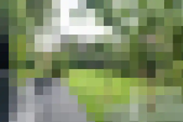 Rengersweg 23 Oentsjerk thumbnail 63