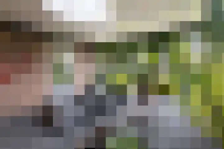 Rengersweg 23 Oentsjerk thumbnail 64