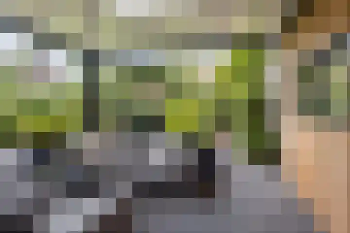 Rengersweg 23 Oentsjerk thumbnail 68