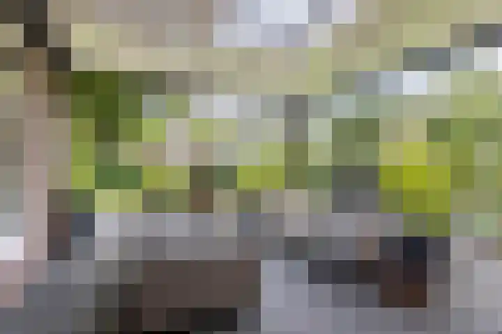 Rengersweg 23 Oentsjerk thumbnail 69