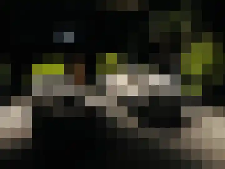 Rengersweg 23 Oentsjerk thumbnail 71