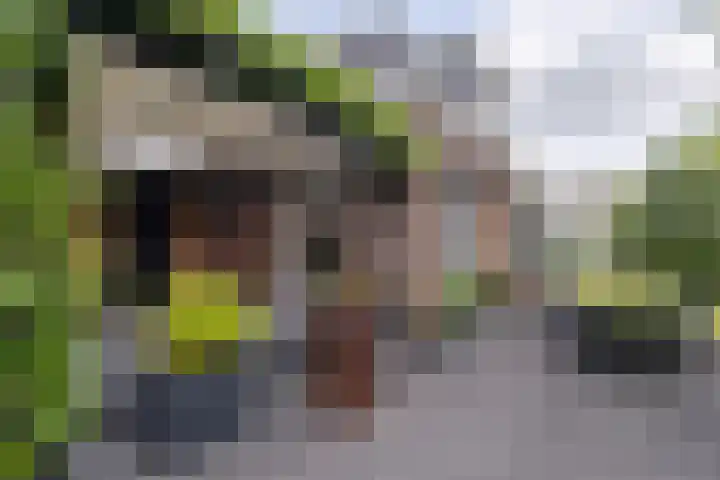 Rengersweg 23 Oentsjerk thumbnail 72