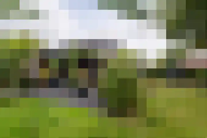 Rengersweg 23 Oentsjerk thumbnail 75