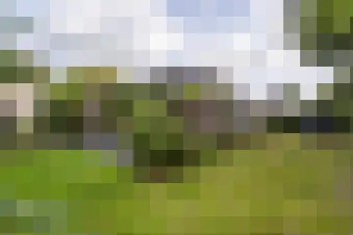 Rengersweg 23 Oentsjerk thumbnail 76