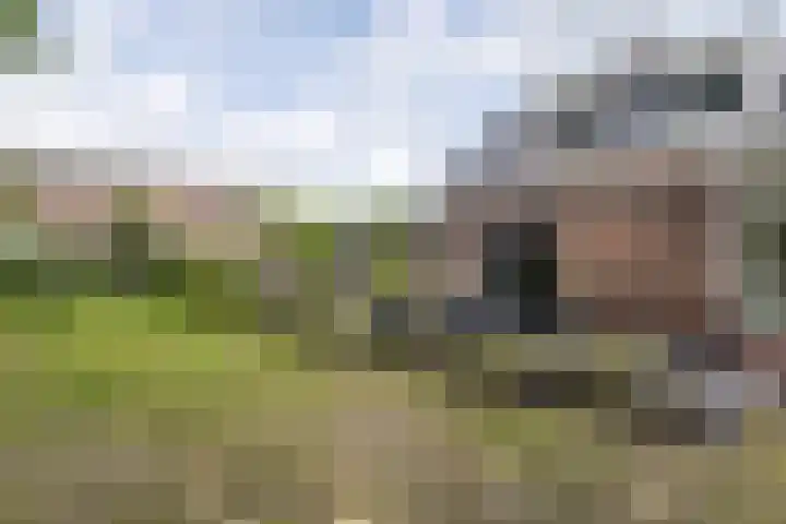 Rengersweg 23 Oentsjerk thumbnail 83