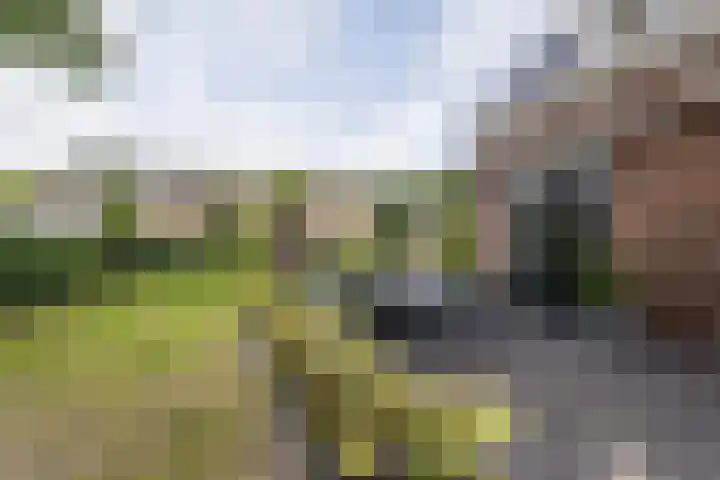 Rengersweg 23 Oentsjerk thumbnail 84
