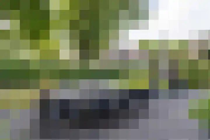Rengersweg 23 Oentsjerk thumbnail 86