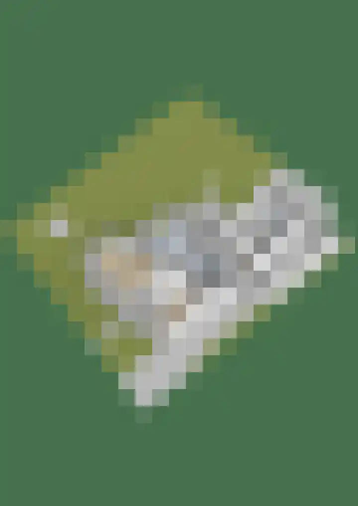 Rengersweg 23 Oentsjerk thumbnail 95